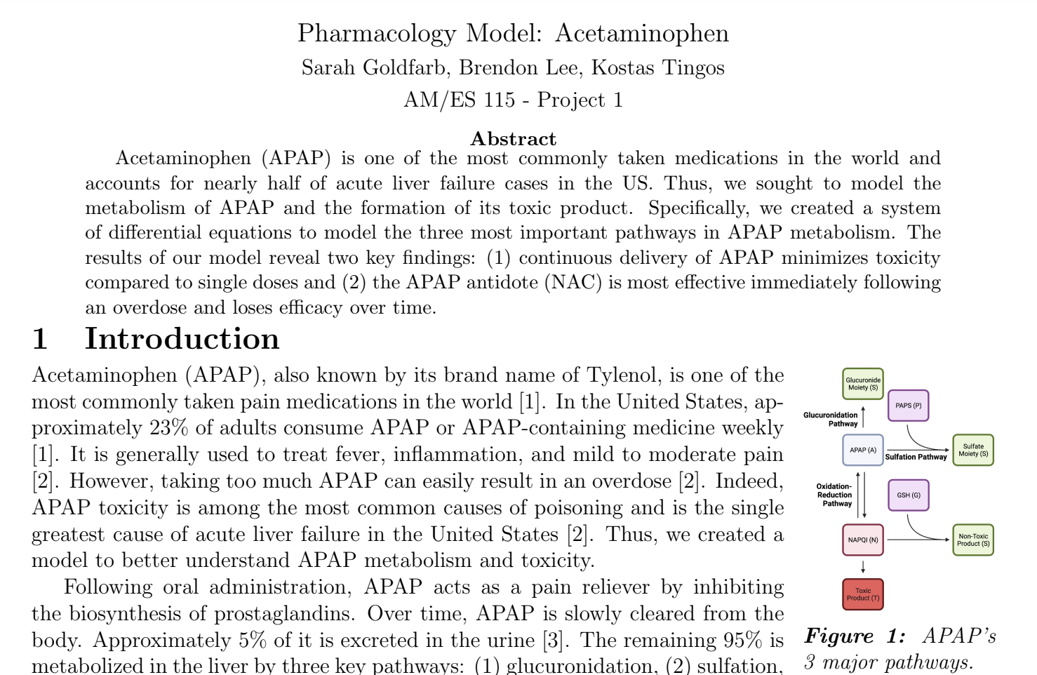 Pharmacology Model